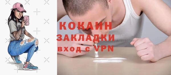 кокс Алексин