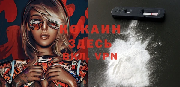 кокс Алексин